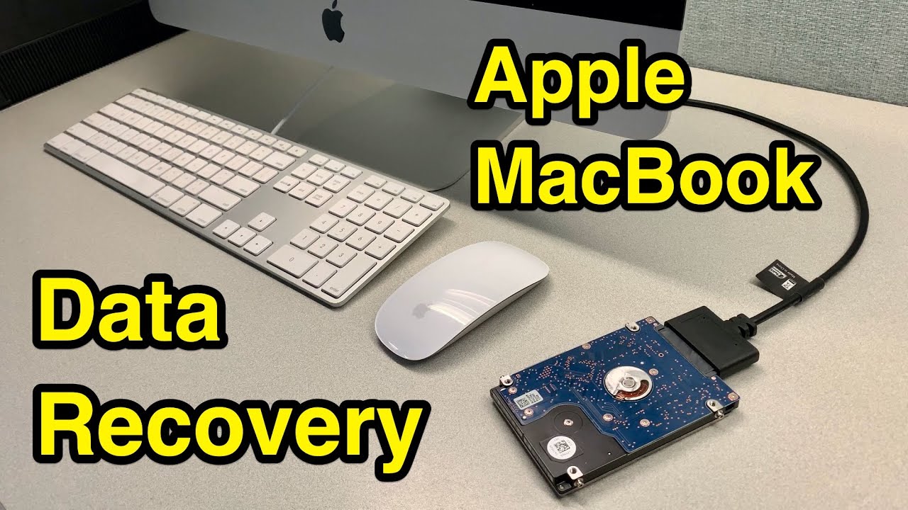 How Do You Recover Data From a Damaged MacBook?